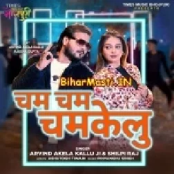 Gori Shisha Lekha Cham Cham Chamkelu (Hit Matter)-BiharMasti.IN-(BiharMasti.In.Net)